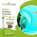 Attar Ayurveda Original Akarkara Irani Roor(Raw)| Anacyclus Pyrethrum (50 grams) - Fast UK Delivery - Image 7
