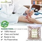 Attar Ayurveda Paneer Phool for Diabetes (400 grams) | Paneer Doda | Paneer Dodi | Withania Coagulans | Pure and Natural | No preservatives - Fast UK Delivery - Image 3