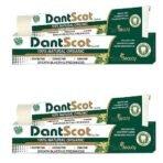 CRISTA SERIOUSLY PURE AND NOTHING MORE Dantscot Toothpaste 100 Gm For Complete Oral Cavity Protection&Good Breath With 15 Shudh Herbs-Pack Of(2) - Image 2