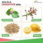DR. MOREPEN Liv Healthy Liver Tonic For Healthy Liver & Digestive Support Ayurvedic Liver Detox Syrup - 200ml - Fast UK Delivery - Image 4