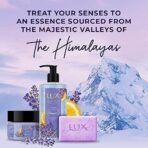 Lux Essence of Himalayas Lavender & Vitamin C Exfoliating soap 5 x 125 g - Fast UK Delivery - Image 5