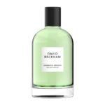 David Beckham Aromatic Greens Eau de Parfum 100ml - Fast UK Delivery