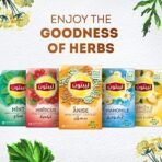 Lipton Anise Herbal Infusion Tea 20 Tea Bags ( 20 X 1.6g ), 32g - Fast UK Delivery - Image 4