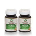 Maharishi Ayurveda Shatavari Tablets | Natural Supplement for Women's Wellness (Shatavari, 60 Tablets (Pack of 2)) - Fast UK Delivery