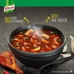 Knorr International Shanghai Hot & Sour Chicken Soup Pouch, 38 g - Fast UK Delivery - Image 5
