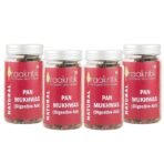 Praakritik Natural Pan Mukhwas | Mouth Freshener | 100% Natural | Digestive | After-Meal Mukhwas | No Added Preservatives and Colors | Pack of 4 | 100 Grams Each - Fast UK Delivery