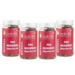 Praakritik Natural Pan Mukhwas | Mouth Freshener | 100% Natural | Digestive | After-Meal Mukhwas | No Added Preservatives and Colors | Pack of 4 | 100 Grams Each - Fast UK Delivery