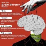 HEALTH VEDA ORGANICS PRIVATE LIMITED Plant Based Brain Booster With Ginkgo Biloba & Brahmi I 60 Veg Capsules I Boosts Concentration & Learning Activities - Fast UK Delivery - Image 6