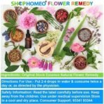 Chestnut Bud 30ml || Organic Concentrate Natural Flower Remedy || ShopHomeo - Image 5