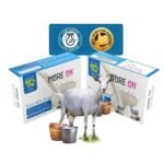 MORE ON Goat Milk Soap For Skin Hydration & Nourishment | 80% TFM Soap For Men & Women | Paraben, SLS, Free (125 g (Pack of 6)) - Fast UK Delivery