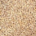 More Urad Dal Loose (1 kg) - Fast UK Delivery - Image 3