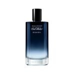 Davidoff Cool Water Reborn Wood Eau De Parfum Liquid For Men 100Ml - Fast UK Delivery