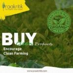 Praakritik Natural Tea Masala 100 Grams, Natural Vegetarian, Chai Masala, Daily Use Healthy Tea Masala, Natural Spices - Fast UK Delivery - Image 6