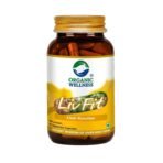 Organic Wellness Natural Liv Fit Supplement Liver Detox Ayurvedic Medicine for Purify Liver Cells & Helps With Fatty Liver (60 N Veg Capsules) - Fast UK Delivery