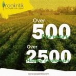 Praakritik Coconut Sugar 300G- Natural Coconut Palm Sugar with No Preservatives - Healthy Natural Unrefined Pure Sugar - Palm Sugar for Baking - Fast UK Delivery - Image 7