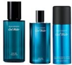 Davidoff Cool Water For Men. Eau De Toilette Spray 4.2 Ounces & Davidoff Cool Water Body Spray for Men, 150ml & DAVIDOFF Cool Water Man Eau de Toilette 40ml - Fast UK Delivery