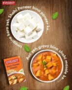 Everest Shahi paneer Masala, 100g - Fast UK Delivery - Image 4