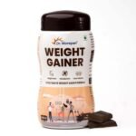 Dr. Morepen Weight Gainer/Gain Weight, Post Workout, 74 G Carbohydrate, 14.5G Protein, Healthy Fats (Irish Chocolate, 500G)|Pack Of 1 - Fast UK Delivery