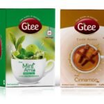 GTEE Green Tea Bags - Mint & Cinnamon Tea Bags, 25 Tea Bags (Pack of 2) - Fast UK Delivery