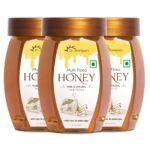 Dr. Morepen Dr Morepen Honey Multi Flora 250Gm - Pet Jar Pack Of 3 - Fast UK Delivery